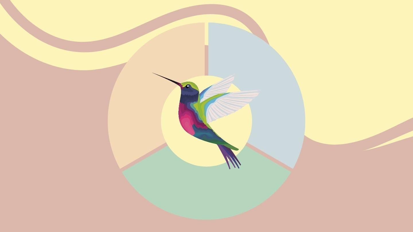 Saint Vulbas hummingbird